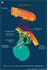 Cardiac Neural Crest Development