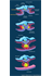 Cardiogenic Mesoderm Development