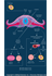 Embryonic Adipose Origin