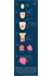 Embryonic Heart Development