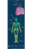 Human Cartilage Distribution 