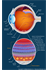 Human Eye Anatomy