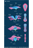 Neural tube formation by primary neurulation