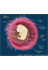 The human embryo and extraembryonic tissues